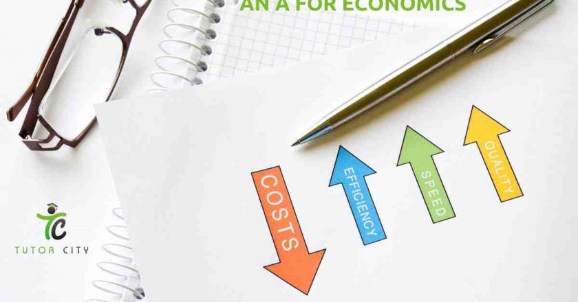 Tips on How to Choose the Right Economics Tutor for You